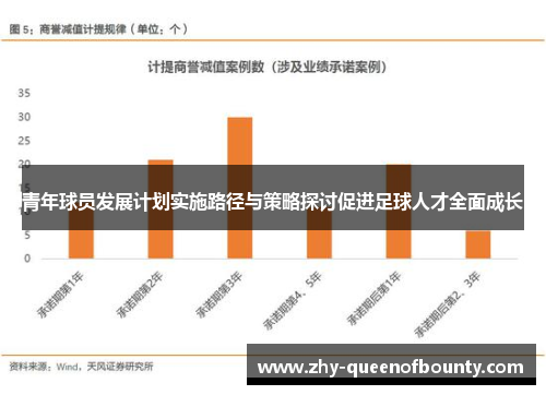 青年球员发展计划实施路径与策略探讨促进足球人才全面成长
